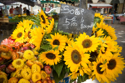 Photo of yellow sunflowers at a French market in France