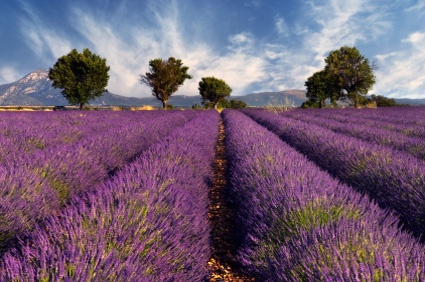 Photo of Provence, France